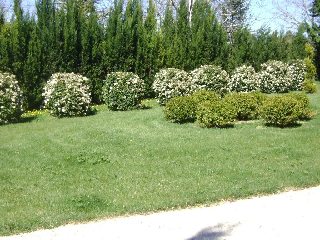 Villa Bastide Des Lauves Aix-en-Provence Esterno foto